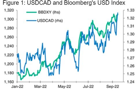 bmo usd cad exchange rate.